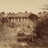 An Aboriginal gardener? “Thornthwaite”, Dartbrook, c1840. SLNSW